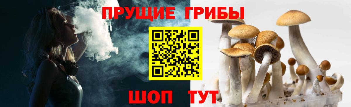 Галлюциногенные грибы Psilocybine cubensis  Вход с VPN  Галлюциногенные грибы ЛСД  Губаха 
