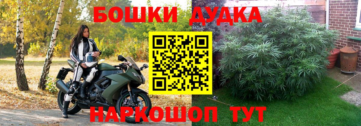 Бошки марихуана OG Kush Губаха